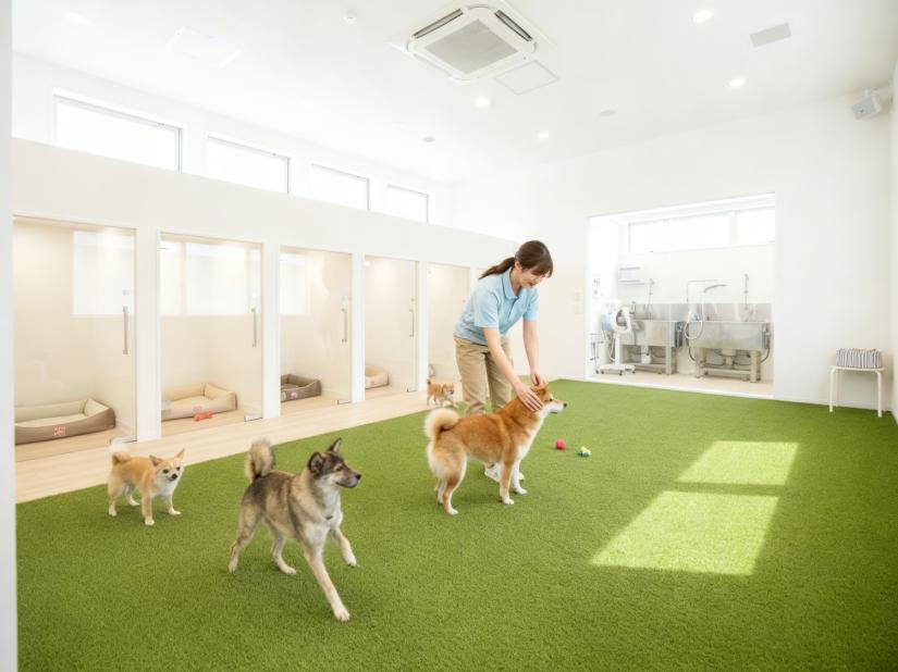 土地あり・実績あり。岡山県津山市に「24時間ペットホテル＋犬の保育園」を建設したい